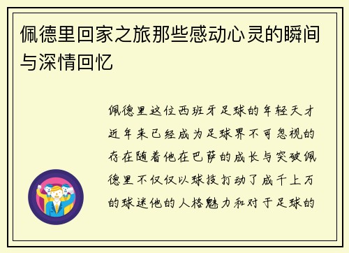 佩德里回家之旅那些感动心灵的瞬间与深情回忆