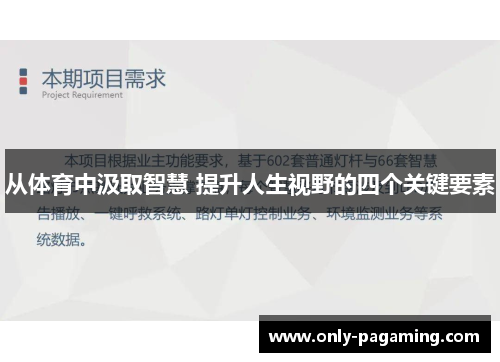 从体育中汲取智慧 提升人生视野的四个关键要素