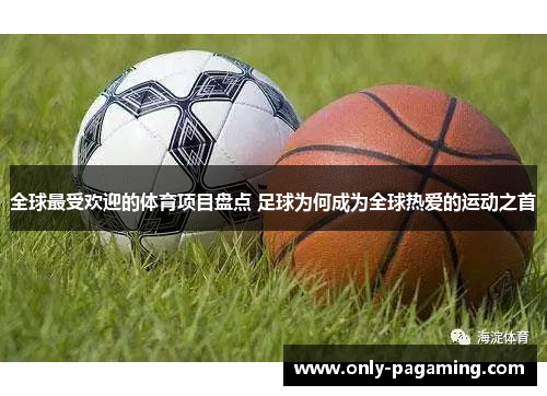 全球最受欢迎的体育项目盘点 足球为何成为全球热爱的运动之首