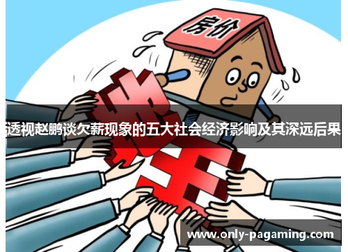 透视赵鹏谈欠薪现象的五大社会经济影响及其深远后果