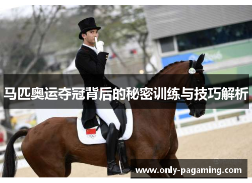 马匹奥运夺冠背后的秘密训练与技巧解析