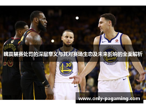 魏震禁赛处罚的深层意义与其对赛场生态及未来影响的全面解析