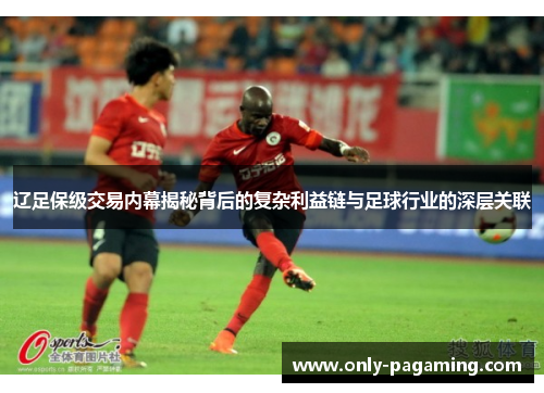 辽足保级交易内幕揭秘背后的复杂利益链与足球行业的深层关联